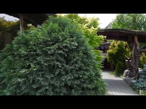 Complex Casa de vis - DN66A, Aninoasa 335101 HD