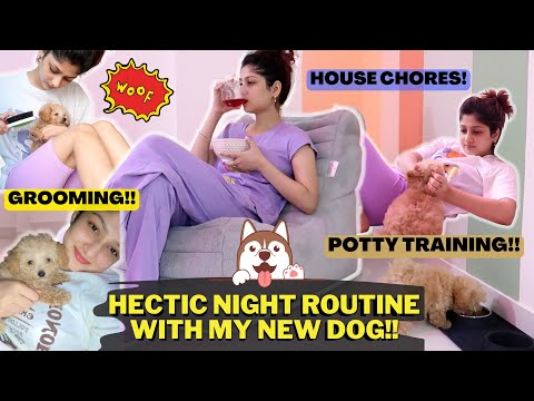 Hectic Night Routine With My New Puppy🐶 | Manasi Mau