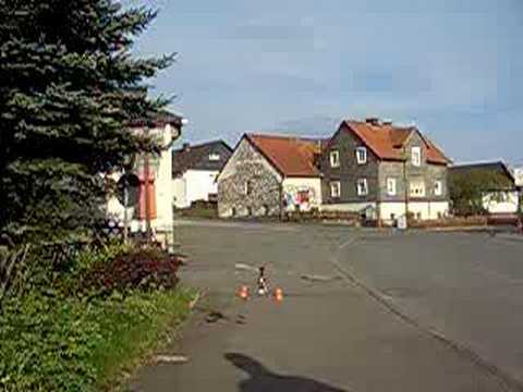 Honey Bee King 2 Schwebeflug 05