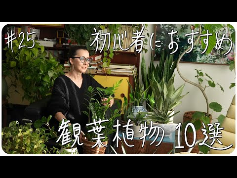 , title : '#25 初心者におすすめ 観葉植物10選 〜10 Easy Houseplants for Beginners〜'