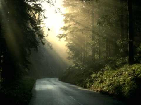 SPCC - New Every Morning