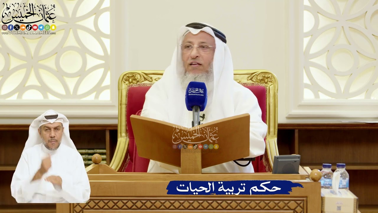 106- حكم تربية الحيات - عثمان الخميس