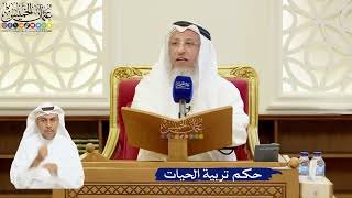 106- حكم تربية الحيات - عثمان الخميس