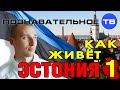 Как живёт Эстония 1 (Познавательное ТВ, Александр Румянцев) 