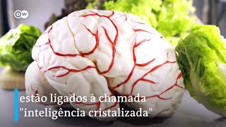 Miniatura do vídeo