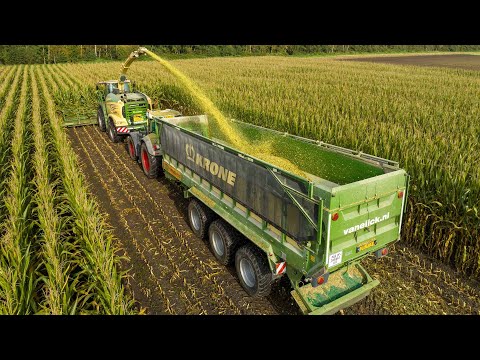 The Krone Team | Van Eijck Alphen | Forage maize harvest 2023