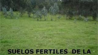 preview picture of video '[VENTA DE TERRENOS EN QUITO ECUADOR] LAS ACACIAS DE MANUELITA'