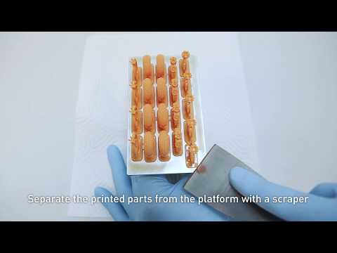 Precision Legend 2.0 - Tutorial - Clean and cure your printed parts