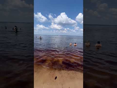 Praia do Japonês em Iranduba no Amazonas.