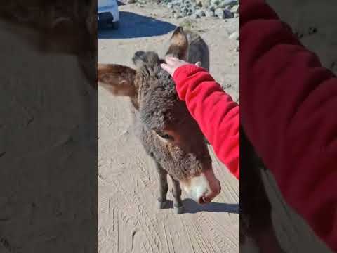 Unión de los Ríos- Chilecito #lariojaargentina