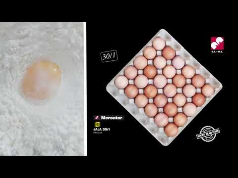 Mercator redovni katalog 06.05.-19.05.2021.