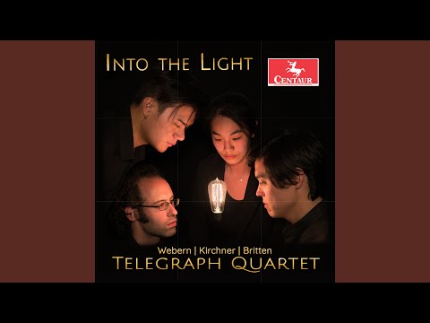 String Quartet No. 1: I. Allegro ma non troppo