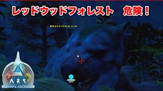 【ゆっくり実況】ARK Survival Ascended PS5 　レッドウッドフォレストが危険なことを忘れていた件　＃８