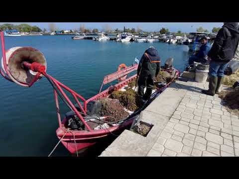 FANARI PORT - RODOPI GREECE | DJI Mini 2 | DJI Pocket 2 | 4K Footage |