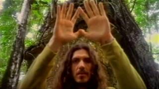 jaguares - dime jaguar HD ( video official )