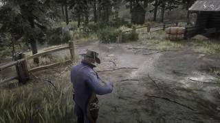 Red Dead Redemption 2 - Where To Find The Pump Action Shotgun (Location & Test Fire)