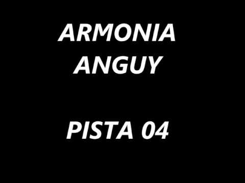 ARMONIA ANGUY PISTA 04 - TINTA NEGRA - PEDACITO DE CIELO