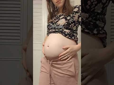 10 weeks pregnant to 40 weeks pregnant  #bellyprogression