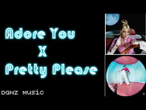 Adore You X Pretty Please- Harry Styles & Dua Lipa (DGNZ MASHUP)