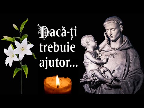 Daca-ti trebuie ajutor - fr. Petrica Sascau | negative catolice