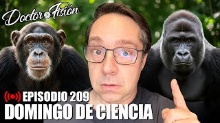 Thumbnail del capítulo