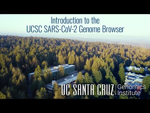 Introduction to the UCSC SARS-CoV-2 Genome Browser