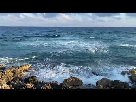 ¿Como sonaría HOOBASTANK - THE REASON en Español?