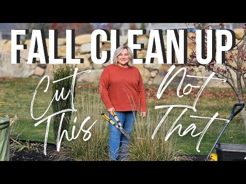 Fall Yard Cleanup Made Easy. What to Cut Back & What to Leave.
