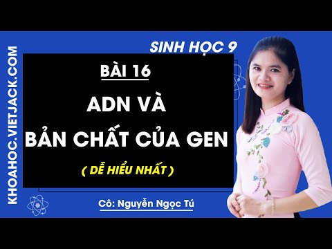 Nêu bản chất hoá học và chức năng của gen