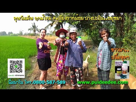 Comedy Club เพลงสมาชิกที่เล็กที่สุด ขยายขนาดอวัยวะเพศ