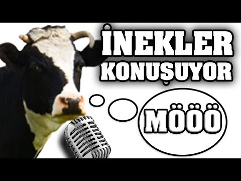 KONUŞAN İNEK ve KOYUNLAR (Kurban Bayramına Özel)🐄🐏🐑