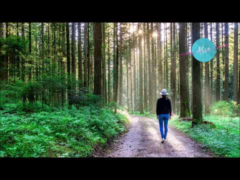 Paul Mayson  -  Letting You Go