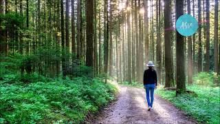 Paul Mayson  -  Letting You Go