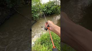 Download lagu Recommendations for super flexible UL rods for casting or spinning #fishing mp3