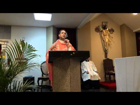 Homilía 11 de Diciembre 2011 - III Domingo de Adviento