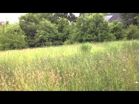 639-643 Warren Street, Dorchester, MA