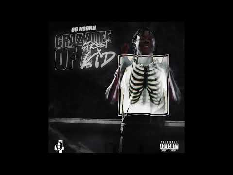 22NOOKII - CRAZY LIFE OF A STREET KID (Official Audio)