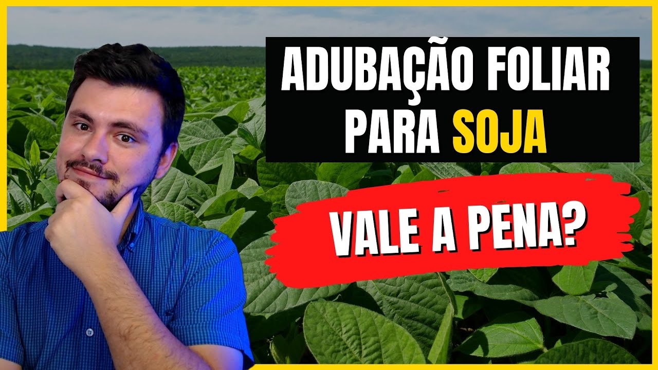 Adubação foliar para soja com quais nutrientes fazer?