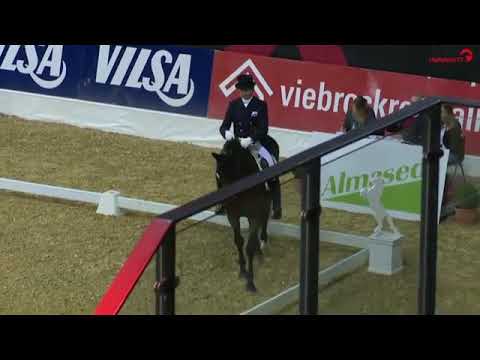 Hubertus Schmidt -  Imperio - Grand Prix AGRAVIS-Cup