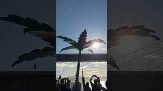 Sailing under the Sunshine Skyway Bridge Tampa FL #cruise #margaritaville #cruiseship #cruisevibes