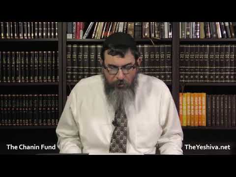 Rabbi Yossi Paltiel   Torah Or Noach Maamar Vayomer Hashem The Power of Peace