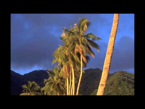 Blow Monkeys, The - La Passionara [HD]