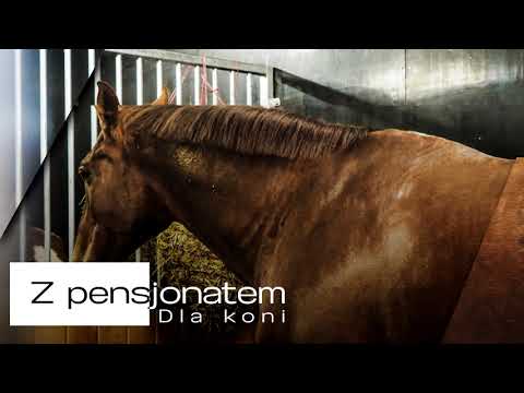 Ranczo Gościszów- jazdy konne, pensjonat dla konni