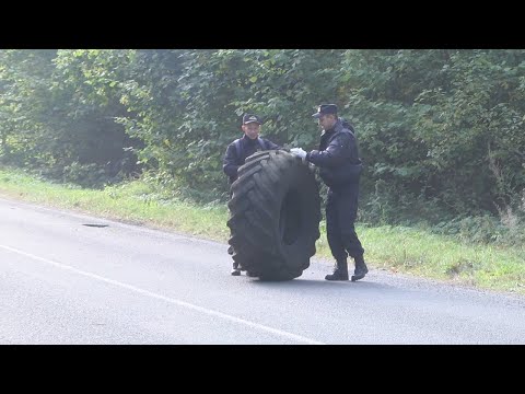 Следчыя навялі парадак у лесе видео