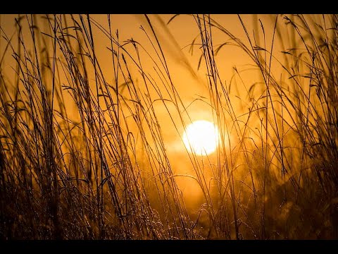 144.  El proceso y el significado del crecimiento - Pathwork