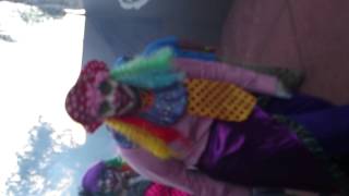 preview picture of video 'Crazy Clowns'
