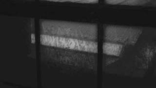 Max Richter-Lullaby From The West Coast Sleepers