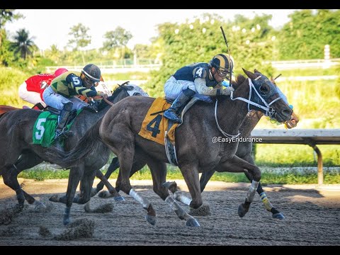 RICARDO SANTANA JR. - Gana Sobre Tenacidad - 23 Diciembre 2022