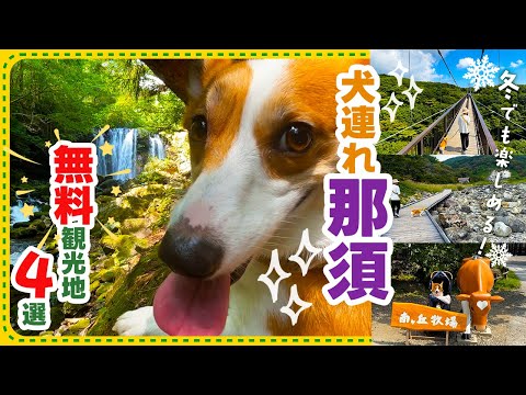 【犬連れ那須観光】無料で冬も楽しめる那須観光スポット4選！｜南ヶ丘牧場・乙女の滝・つつじ吊り橋・殺生石