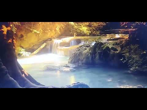 Hoxhë Fitim Kyqyku - Tejkalimi i Sprovave  #fejaislame #feja #ligjerata #ligjerataislame